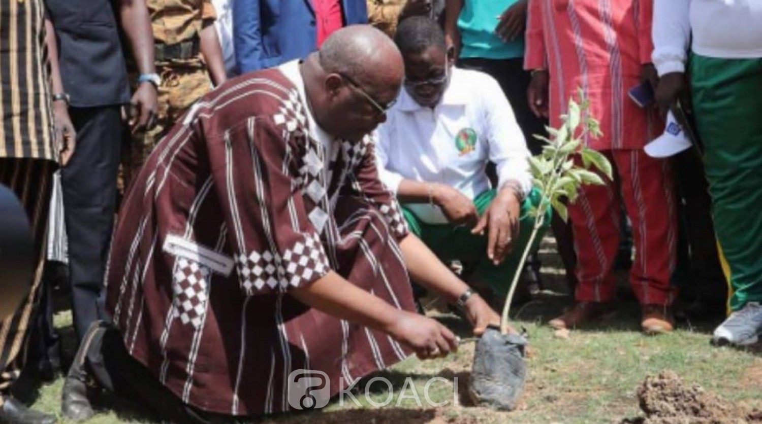 Burkina Faso: Environ 200.000 plants à mettre en terre au cours d'une journée de reforestation