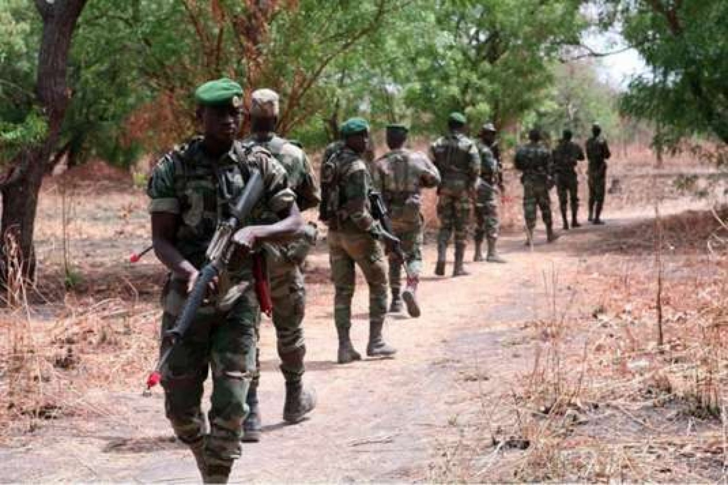 Bénin : Sept soldats tués lors d'une attaque dans le parc de la Pendjari