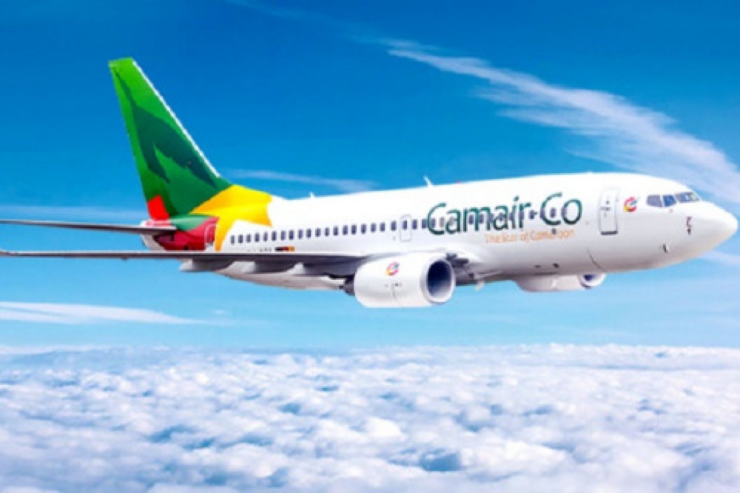 Cameroun : Transport aérien, l'assemblée nationale examine une loi qui facilitera les échanges avec le Canada