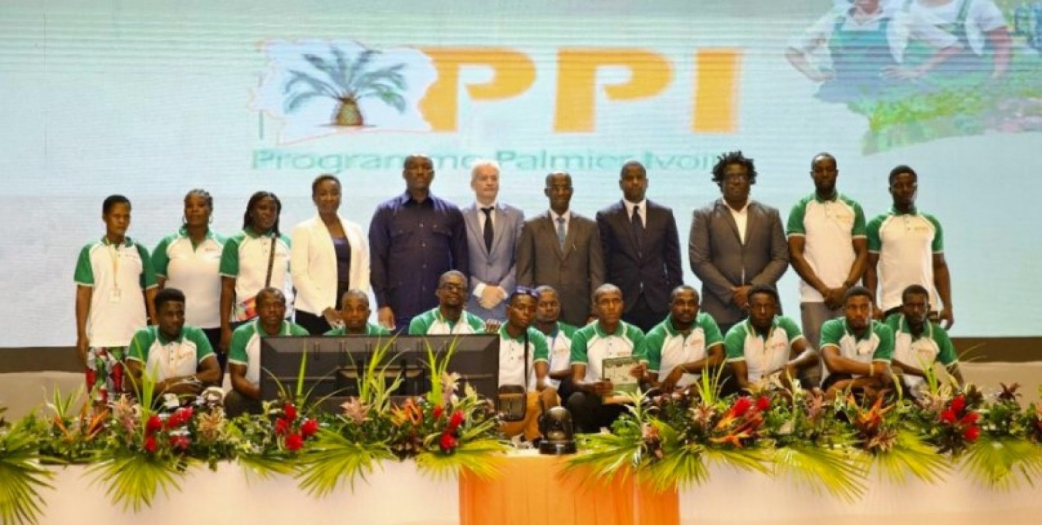 Côte d'Ivoire : Filière palmier à huile, l'Agence emploi jeunes et Neper Ventures s'engagent pour la formation et l'insertion de 1500 jeunes à l'initiative du PCCET