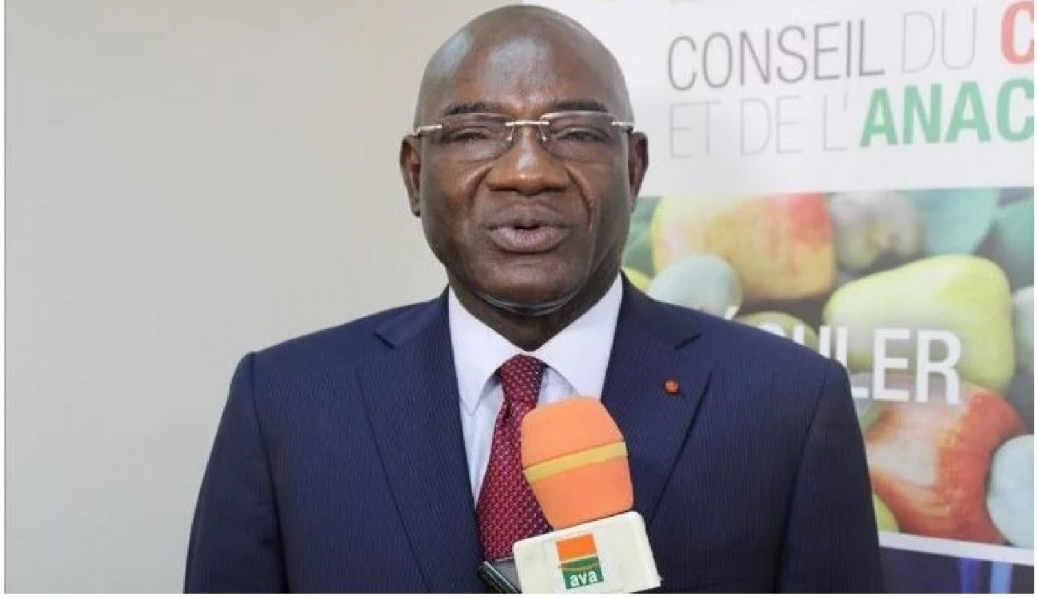 Côte d'Ivoire : Le Conseil du coton et de l'anacarde mis sous tutelle ?