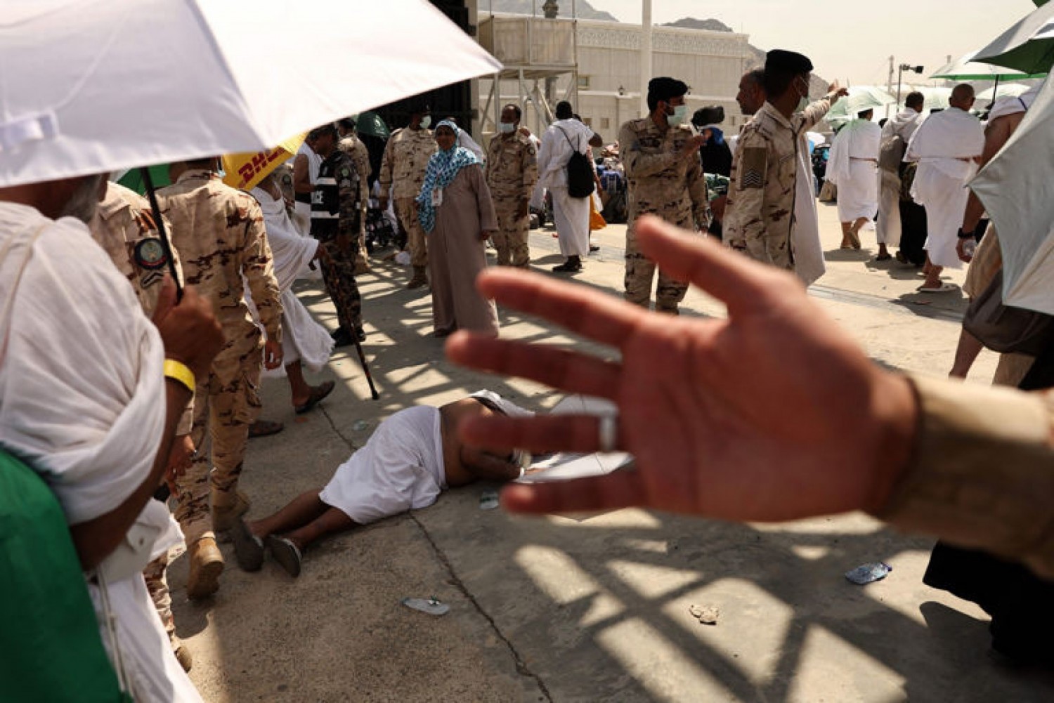 Egypte : Hajj 2024, au moins 600 pèlerins  décèdent à la Mecque, sanctions contre des agences de voyage