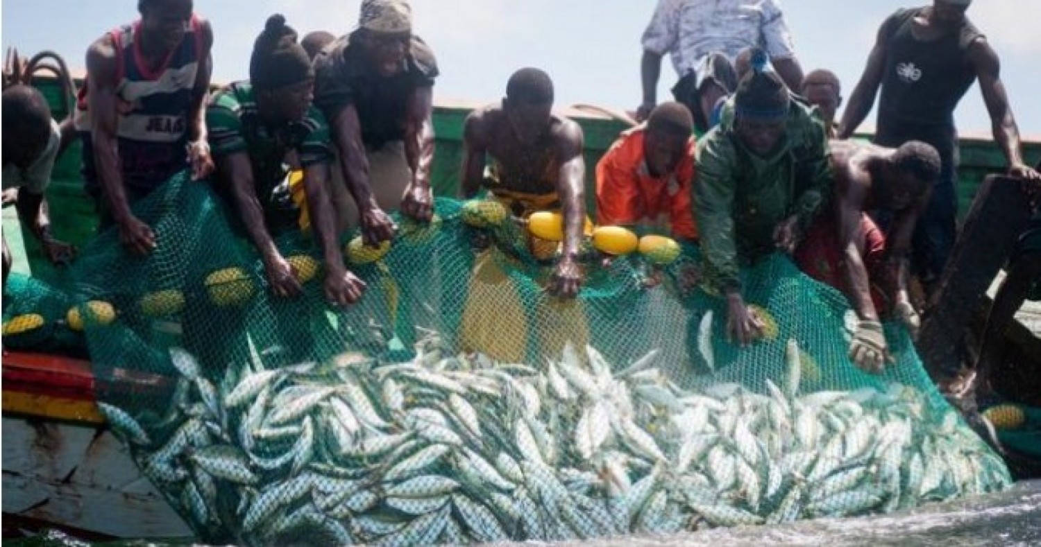 Côte d'Ivoire : Les unités de la pêche artisanale invitées à reprendre leurs activités dès le jeudi  1er août