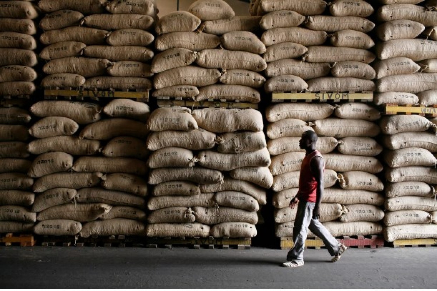 Côte d'Ivoire : Le Conseil Café-Cacao réfute l'idée d'un sursis accordé aux entreprises ivoiriennes n'ayant pas exécuté leurs contrats