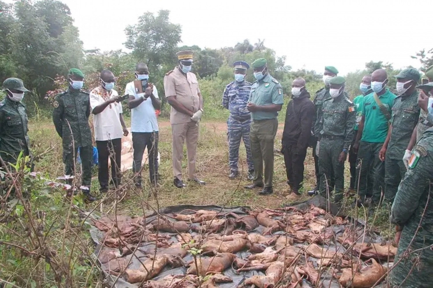 Côte d'Ivoire : Daoukro, environ 700 kg de viandes de brousse incinérées