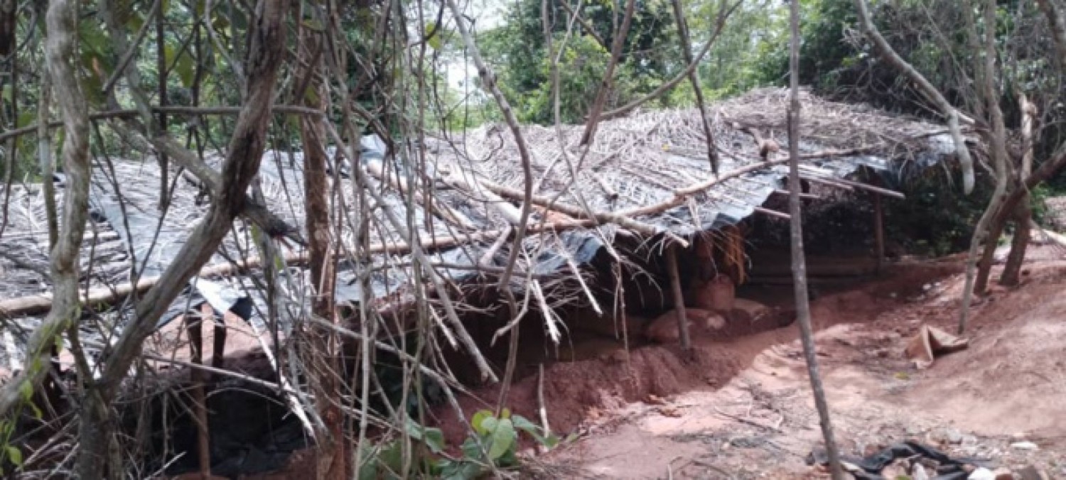 Côte d'Ivoire : Prikro, arrestation d'un présumé acteur clé de l'orpaillage illégal à Prikro, fin de cavale pour un financier clandestin