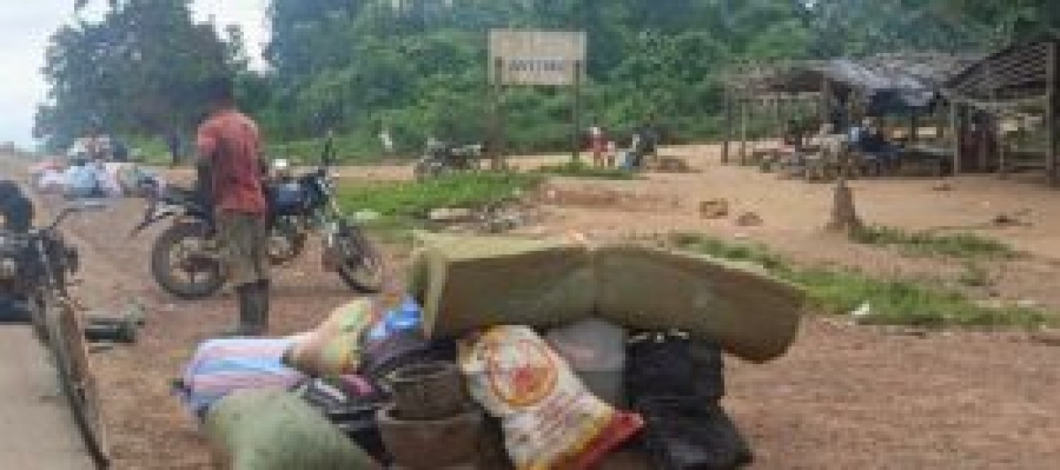 Côte d'Ivoire : Forêt classée de Bouaflé (Bonon), sensibilisés depuis juin et juillet 2024, les occupants illégaux  enfin déguerpis