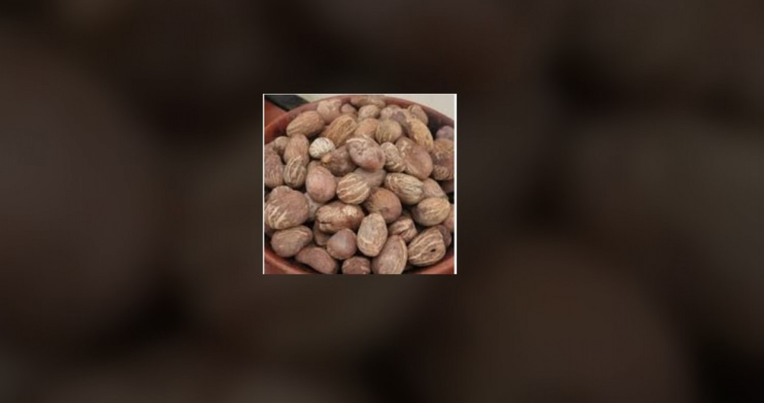 Burkina Faso : Le gouvernement suspend l'exportation d'amandes de karité