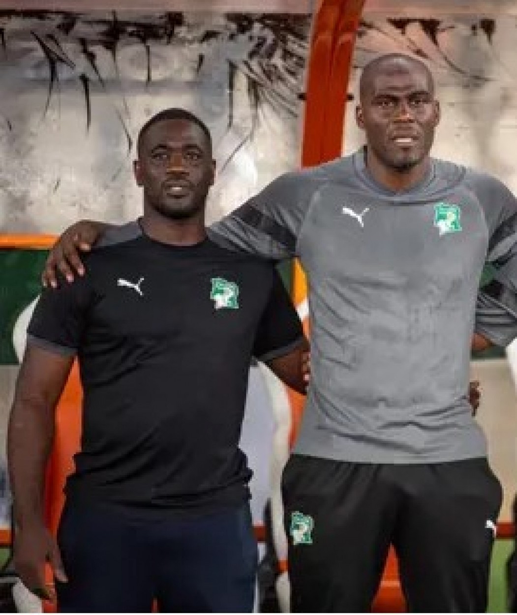 Côte d'Ivoire : Avant la double confrontation contre la Sierra-Léone,  Emerse Faé évoque l'état d'esprit de son groupe et sa collaboration avec Guy Demel