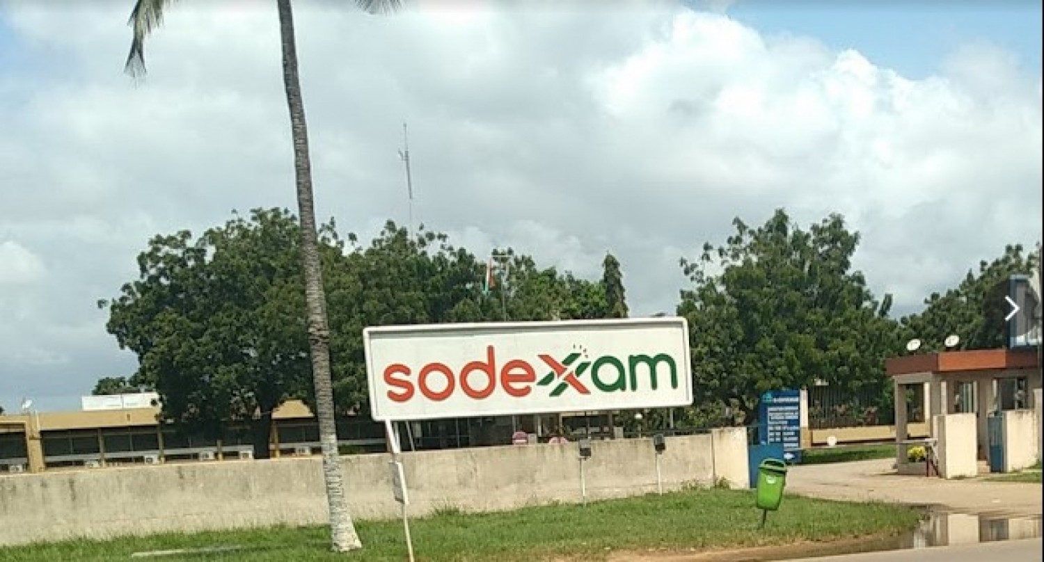 Côte d'Ivoire : Soupçons de détournement de fonds à la Sodexam ? Le préjudice estimé à plus de 600 millions FCFA