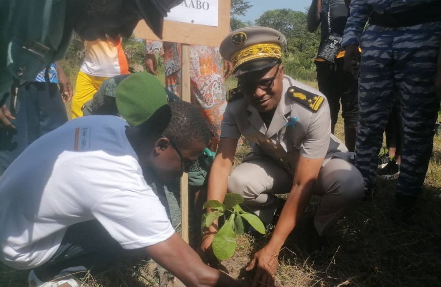 Côte d'Ivoire : Taabo, la journée de la paix célébrée par une opération de planting d'arbres