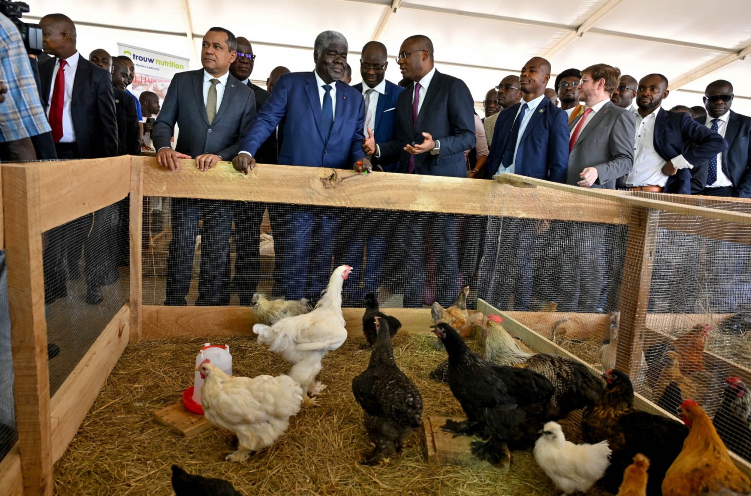 Côte d'Ivoire : 3e édition du Sommet de l'Élevage d'Abidjan, Mambé exhorte la jeunesse à investir le secteur agro-animal en vue de réduire la dépendance aux importations