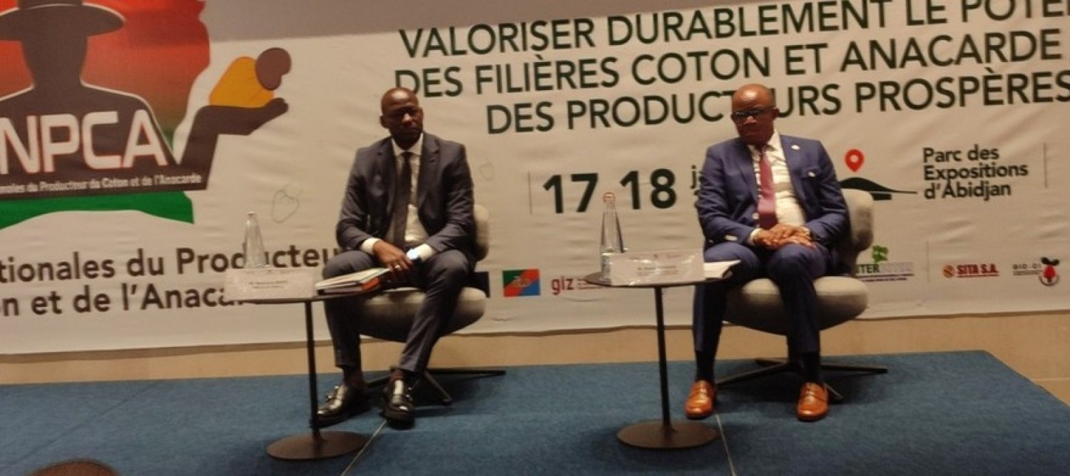 Côte d'Ivoire : Coton-anacarde, des journées nationales annoncées pour célébrer les producteurs de ces deux spéculations de l'économie ivoirienne