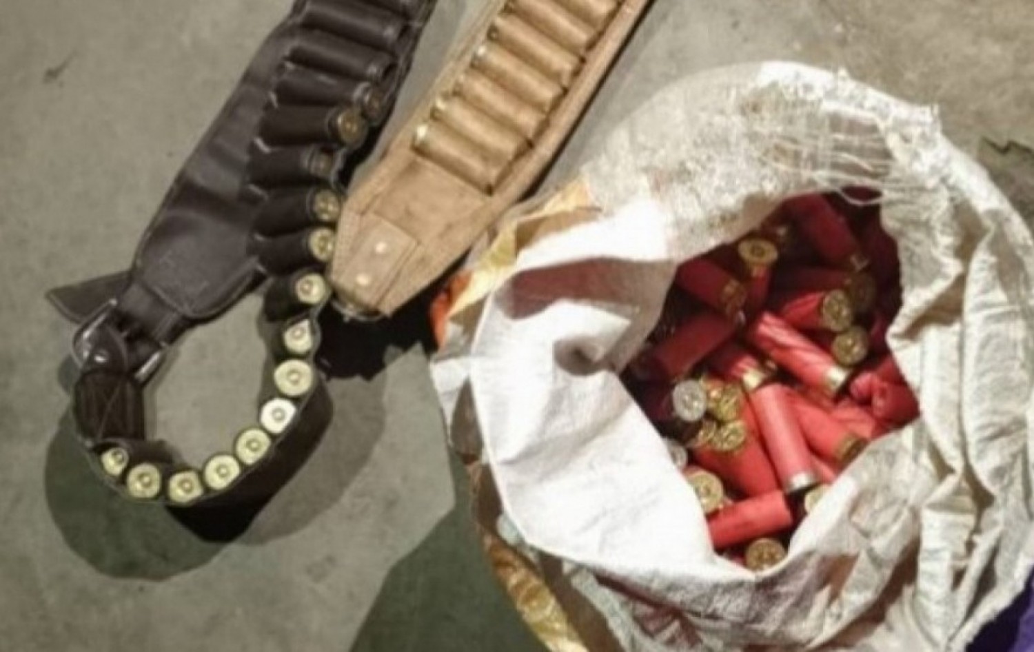 Côte d'Ivoire : Bounkani, des munitions de calibre 12 saisies par la Gendarmerie  dans un domicile