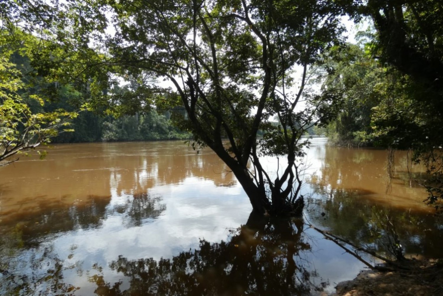 Côte d'Ivoire : Pollution d'une rivière Niounourou (Lakota), Assahoré fait des recommandations aux populations