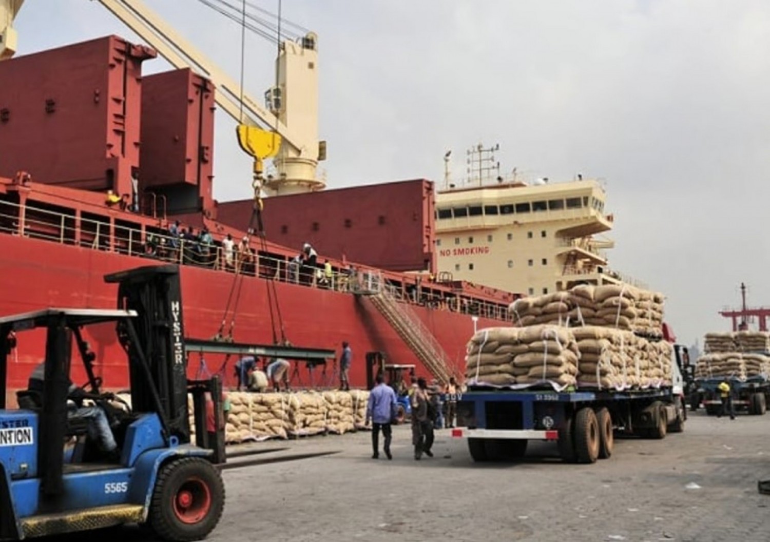 Côte d'Ivoire : Vers une augmentation effrénée des prix du Cacao dans les ports ivoiriens ?