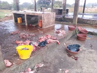 Côte d'Ivoire : Danané, en raison d'un véritable manque d'hygiène sur le lieu,   le préfet suspend les activités à  l'abattoir