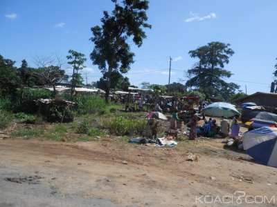 Cameroun : Craintes de la société civile  face aux enjeux de l'aménagement du territoire