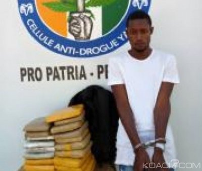 Côte d'Ivoire : Un individu interpellé  à  Yamoussoukro avec en sa possession 20kg de cannabis  dissimulés dans un sac à  dos