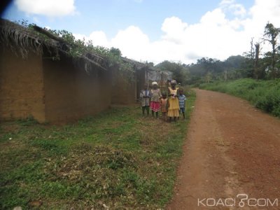 Côte d'Ivoire : Les habitants de la forêt classée de Tiapleu (Danané) déguerpis en février prochain