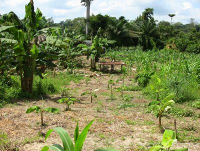 Côte d'Ivoire : Worodougou, découverte macabre des corps de deux   femmes et bébés dans un champ