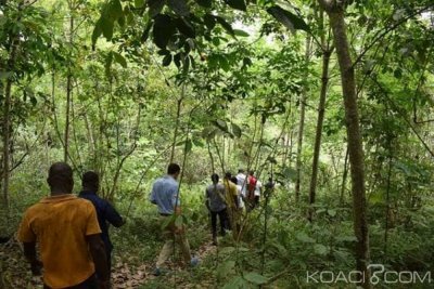 Côte d'Ivoire : Alépé, réduction des émissions de gaz à  effet de serre, le C2D finance un projet dans la Mé à  hauteur d'1,600 milliard de F CFA