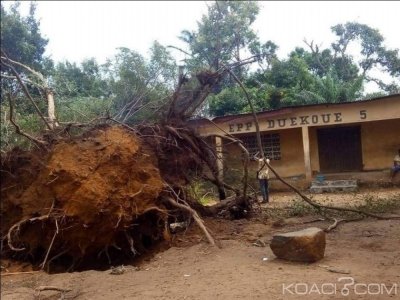 Côte d'Ivoire : Duékoué, une tornade fait de nombreux dégà¢ts, le maire demande de l'aide au gouvernement pour la mise en état des locaux administratifs