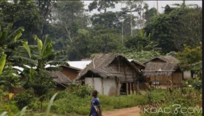 Côte d'Ivoire : Les occupants d'une forêt classée à  l'ouest menacés de déguerpissement