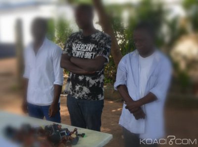 Côte d'Ivoire: Trois spécialistes en attribution de faux documents administratifs arrêtés à  Cocody