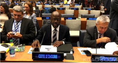 Côte d'Ivoire : Dégradation des forêts, une nouvelle politique annoncée pour recouvrer  6 millions d'hectares à  l'horizon 2045