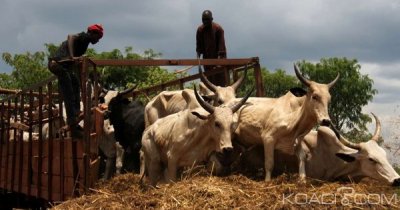 Côte d'Ivoire : Activités du PSGouv, la mobilisation des financements évaluée à  359,1 milliards de FCFA à  la fin mars 2019