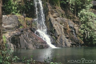 Côte d'Ivoire : Un adorateur de fétiche décède  en plein rituel dans une forêt sacrée