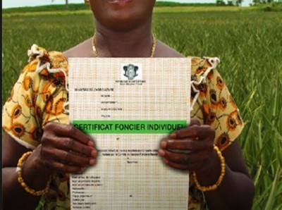 Côte d'Ivoire : Le  projet de loi sur le foncier rural modifiant  celui de 1998 adopté en commission par le  parlement, rappelle du décret pris  par Ouattara en 2013