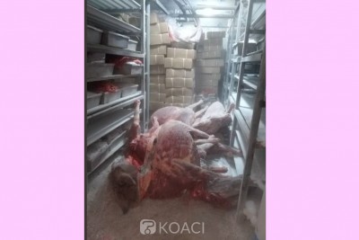 Côte d'Ivoire: Des asiatiques tenaient un abattoir clandestin à Ouangolodougou