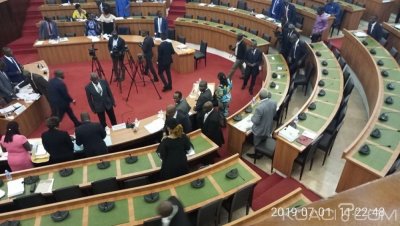 Côte d'Ivoire : Assemblée nationale, la Commission des relations extérieures a examiné puis adopté le projet de loi portant ratification de la convention de Minamata sur le Mercure