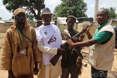 Côte d'Ivoire : Plusieurs armes et munitions collectées dans les localités de Séguélon, Tiémé, Gbonga et Tiensekoroni