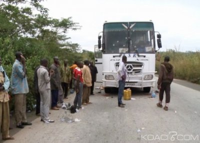 Côte d'Ivoire : Des coupeurs de route sévissent sur l'axe Zoukougbeu-Daloa, un car de transport braqué