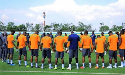 Côte d'Ivoire: Classement FIFA, les éléphants terminent l'année 2019  à la 12è place au plan africain