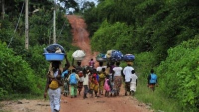 Côte d'Ivoire: Suspension de l'opération de déguerpissement des occupants illégaux de la forêt classée « Rapides-Grah » (Sud-Ouest)