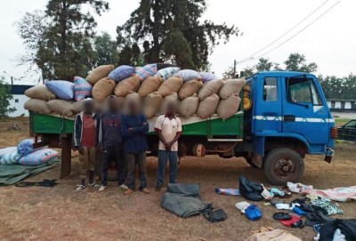 Côte d'Ivoire : Des individus suspectés du détournement  d'un véhicule  transportant des produits d'agricoles mis aux arrêts  par la Gendarmerie