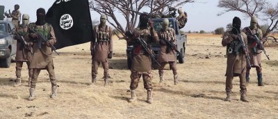 Cameroun : 22 civils dont des enfants enlevés par Boko Haram à l'Extrême-Nord