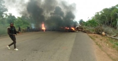 Côte d'Ivoire : Désobéissance civile, l'axe Bouaflé-Zuenoula obstrué par des troncs d'arbres