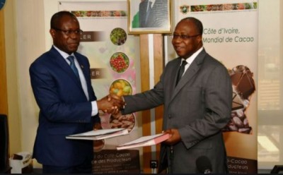 Côte d'Ivoire-Ghana : Abidjan et Accra annoncent la suspension de toute collaboration avec l'association des chocolatiers américains