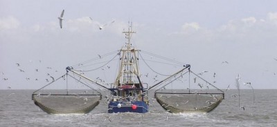 Côte d'Ivoire : Repos biologique, prive-t-on les ivoiriens de poisson pour mieux laisser les asiatiques le pêcher ?