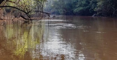 Côte d'Ivoire : Les crues récurrentes du fleuve N'Zi inquiètent les populations