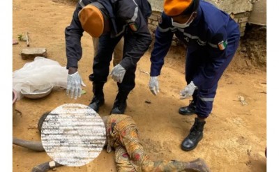 Côte d'Ivoire : Drame à Dabou, un couple attaqué par des abeilles en furie, l'homme décède et sa femme dans un état critique