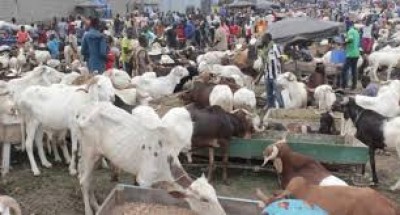Côte d'Ivoire : Célébration de la Tabaski, la fête du mouton aura lieu, le 17 juin