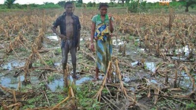 Côte d'Ivoire : Lutte contre les changements climatiques, le gouvernement crée une commission nationale pour mieux adresser la problématique