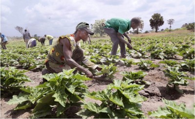 Côte d'Ivoire : Programme Spécial d'Appui à l'Insertion des Jeunes des zones du Nord, voici les dispositifs mis en œuvre