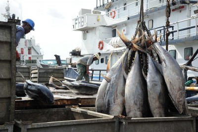 Côte d'Ivoire : Grogne au port de pêche d'Abidjan ? Des acteurs de la filière halieutique appellent à des états généraux du secteur